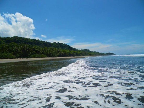 Refugio Nacional Mixto de Vida Silvestre Romelia